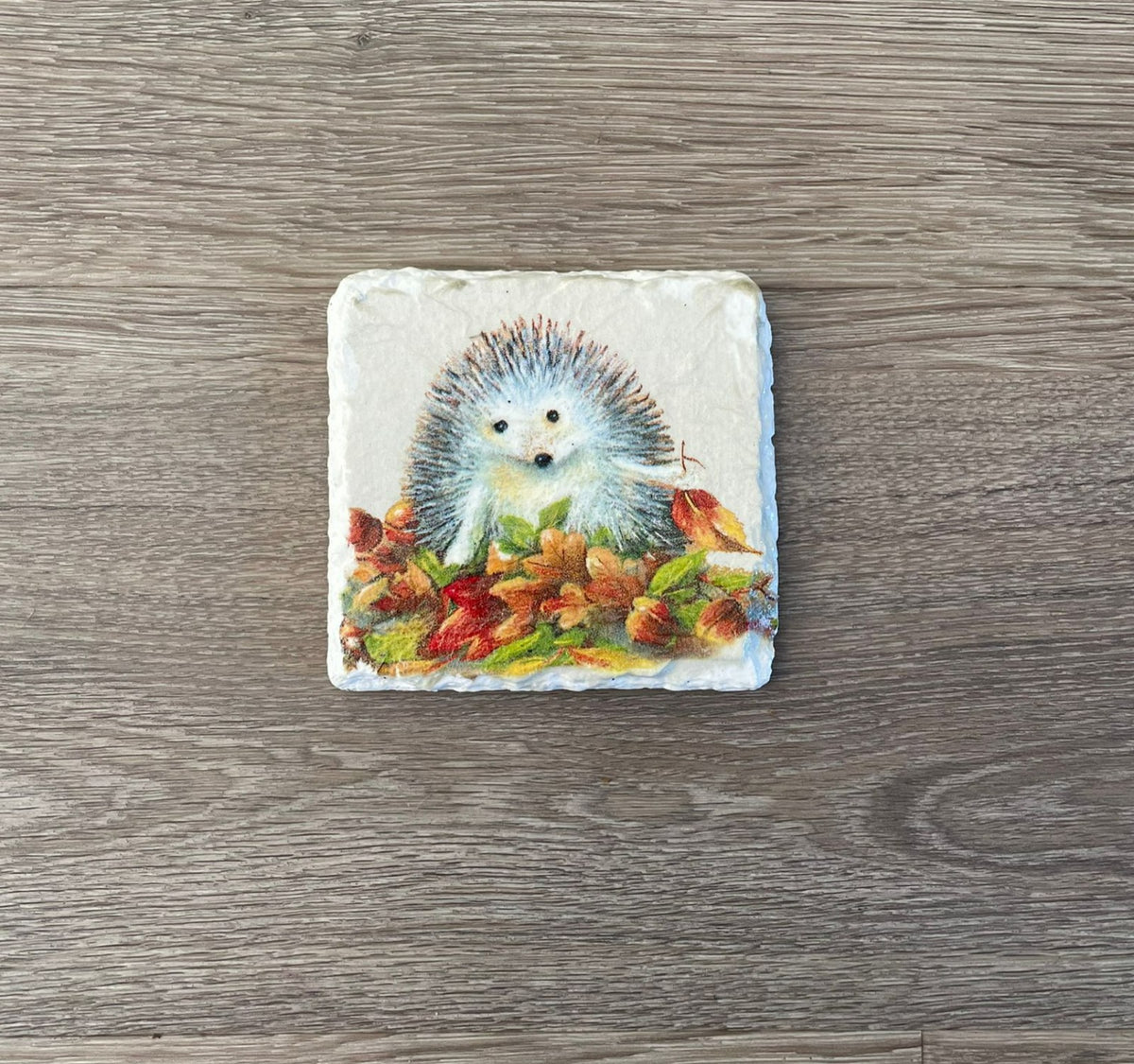 2 Handmade Découpage Slate Coasters Hedgehogs Devon Flames Gifts